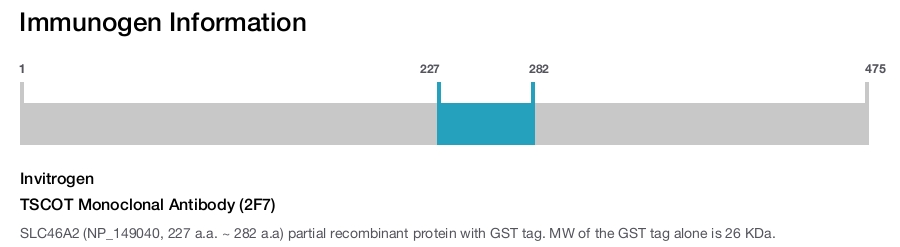 TSCOT Monoclonal Antibody (2F7)