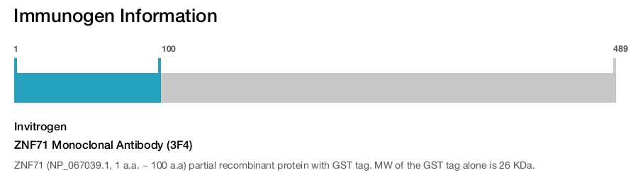 ZNF71 Monoclonal Antibody (3F4)