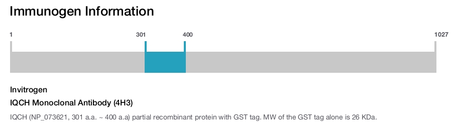 IQCH Monoclonal Antibody (4H3)