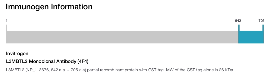 L3MBTL2 Monoclonal Antibody (4F4)
