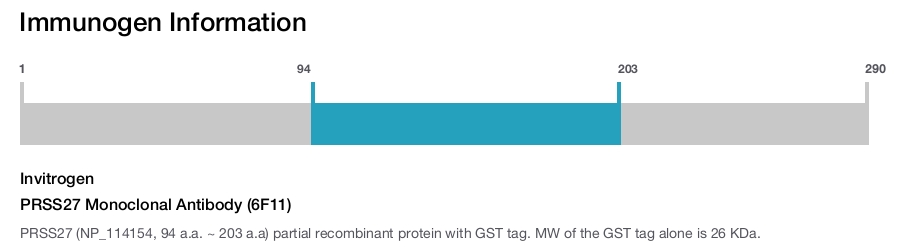 PRSS27 Monoclonal Antibody (6F11)