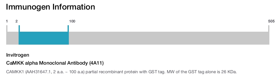 CaMKK alpha Monoclonal Antibody (4A11)