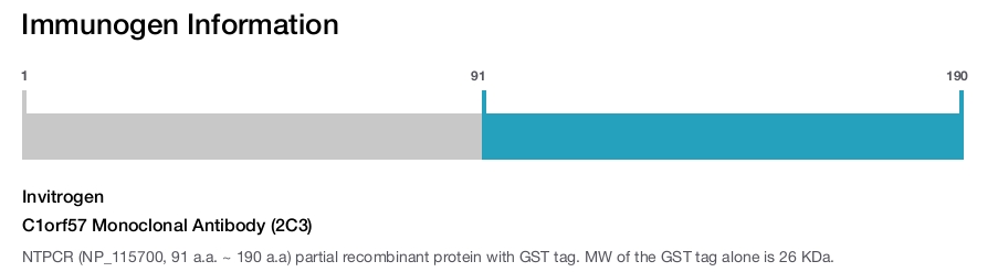 C1orf57 Monoclonal Antibody (2C3)