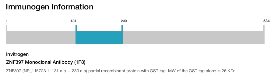 ZNF397 Monoclonal Antibody (1F8)