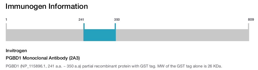PGBD1 Monoclonal Antibody (2A3)