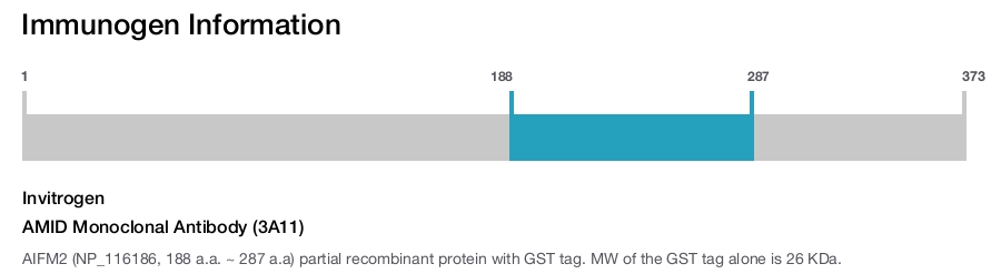 AMID Monoclonal Antibody (3A11)