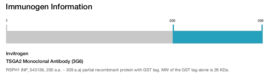 TSGA2 Monoclonal Antibody (3G6)