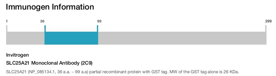 SLC25A21 Monoclonal Antibody (2C9)
