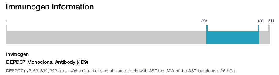 DEPDC7 Monoclonal Antibody (4D9)