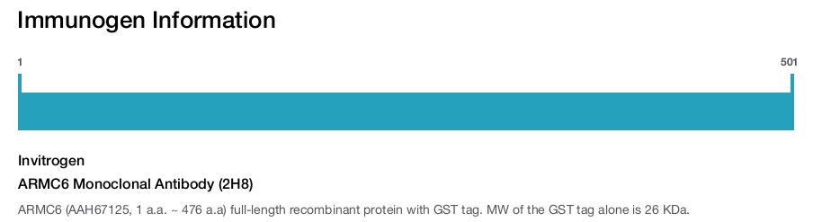 ARMC6 Monoclonal Antibody (2H8)