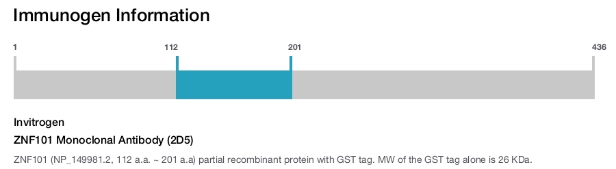 ZNF101 Monoclonal Antibody (2D5)