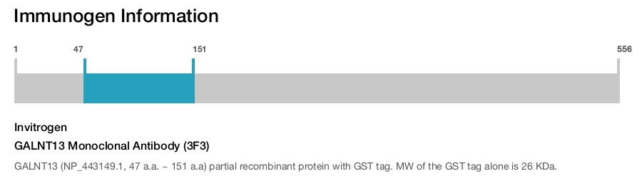 GALNT13 Monoclonal Antibody (3F3)