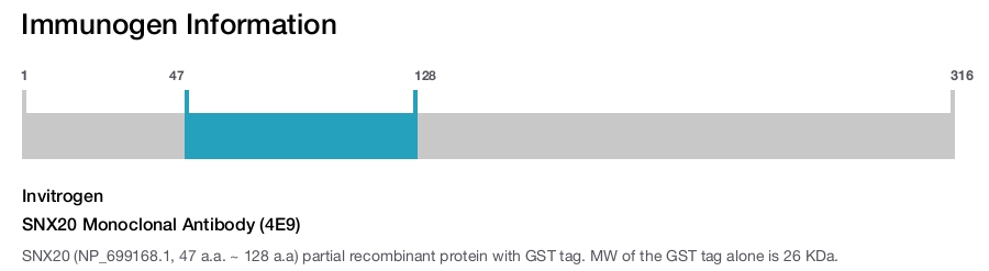 SNX20 Monoclonal Antibody (4E9)