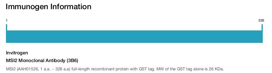MSI2 Monoclonal Antibody (3B6)