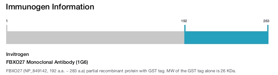 FBXO27 Monoclonal Antibody (1G6)