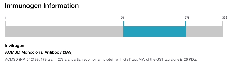 ACMSD Monoclonal Antibody (3A9)