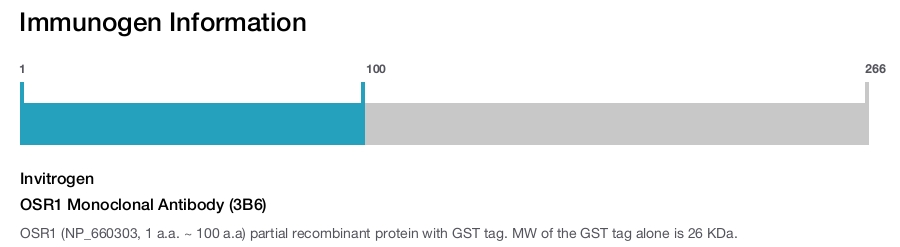 OSR1 Monoclonal Antibody (3B6)