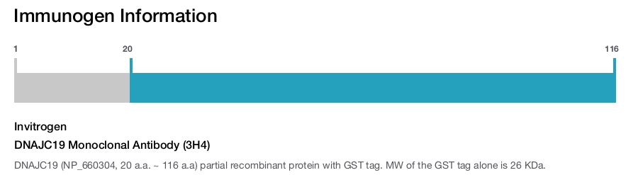 DNAJC19 Monoclonal Antibody (3H4)