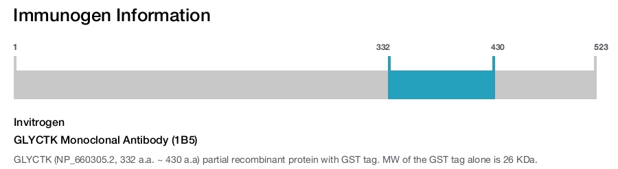 GLYCTK Monoclonal Antibody (1B5)
