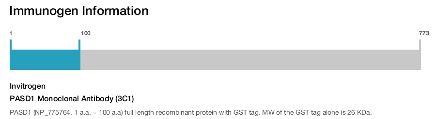 PASD1 Monoclonal Antibody (3C1)
