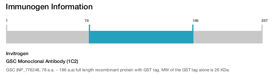 GSC Monoclonal Antibody (1C2)
