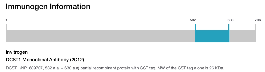 DCST1 Monoclonal Antibody (2C12)