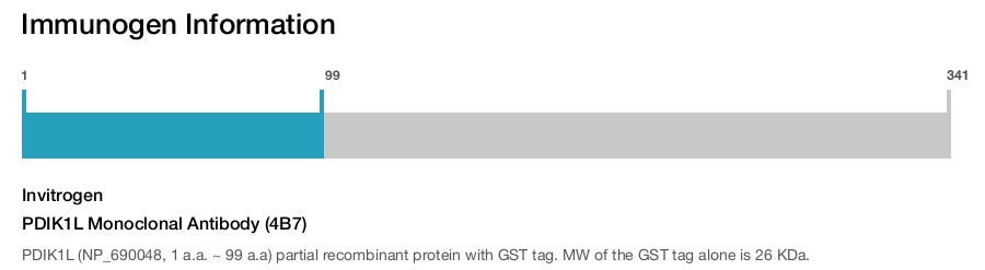 PDIK1L Monoclonal Antibody (4B7)