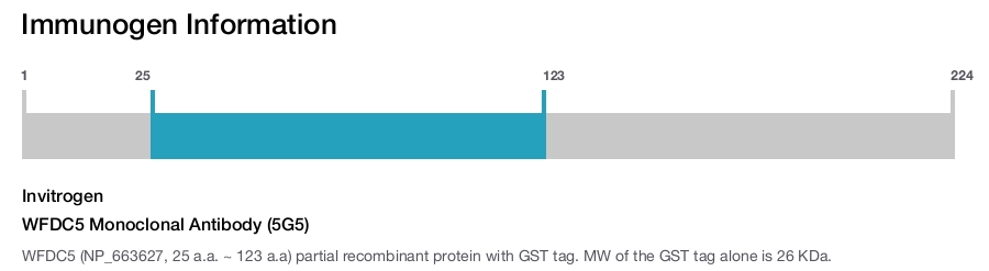 WFDC5 Monoclonal Antibody (5G5)