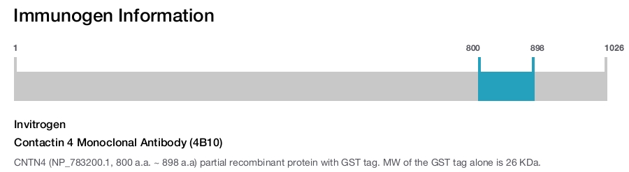 Contactin 4 Monoclonal Antibody (4B10)