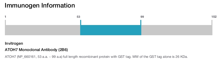 ATOH7 Monoclonal Antibody (2B6)