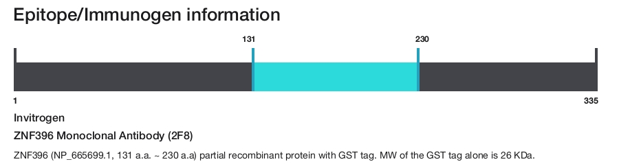 ZNF396 Monoclonal Antibody (2F8)