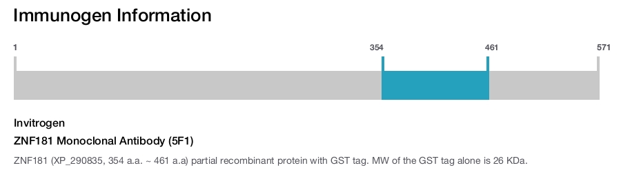ZNF181 Monoclonal Antibody (5F1)