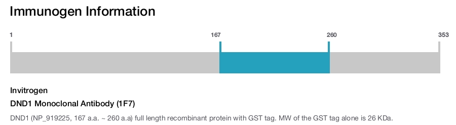 DND1 Monoclonal Antibody (1F7)