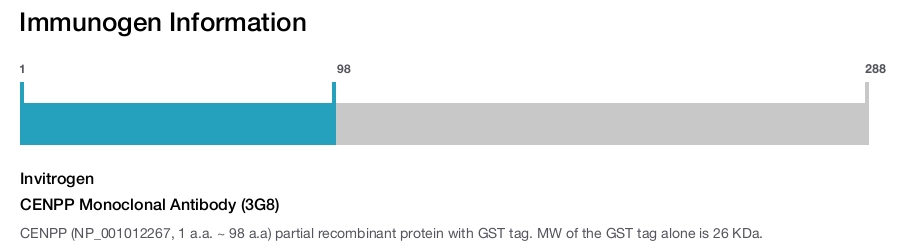 CENPP Monoclonal Antibody (3G8)