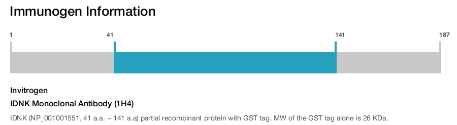 IDNK Monoclonal Antibody (1H4)