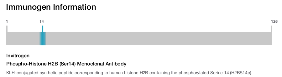 Phospho-Histone H2B (Ser14) Monoclonal Antibody