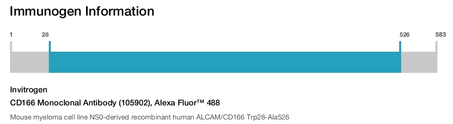CD166 Monoclonal Antibody (105902), Alexa Fluor™ 488