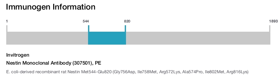 Nestin Monoclonal Antibody (307501), PE