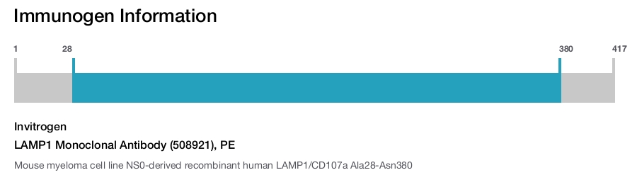 LAMP1 Monoclonal Antibody (508921), PE