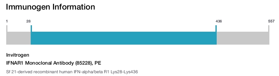 IFNAR1 Monoclonal Antibody (85228), PE