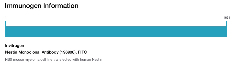 Nestin Monoclonal Antibody (196908), FITC