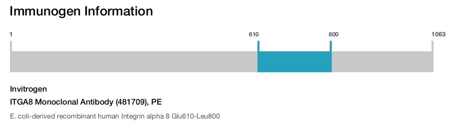 ITGA8 Monoclonal Antibody (481709), PE
