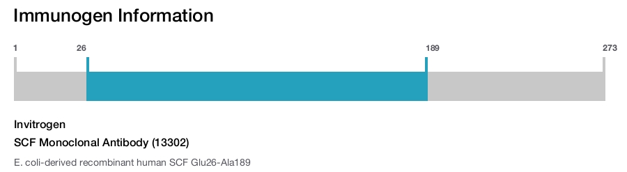 SCF Monoclonal Antibody (13302)