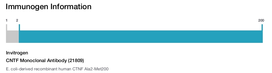 CNTF Monoclonal Antibody (21809)