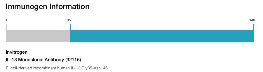 IL-13 Monoclonal Antibody (32116)