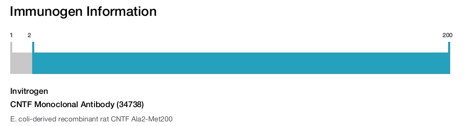 CNTF Monoclonal Antibody (34738)