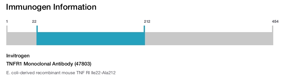 TNFR1 Monoclonal Antibody (47803)