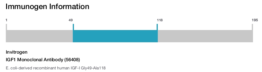 IGF1 Monoclonal Antibody (56408)