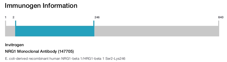 NRG1 Monoclonal Antibody (147705)
