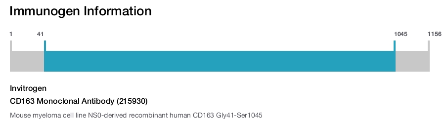 CD163 Monoclonal Antibody (215930)